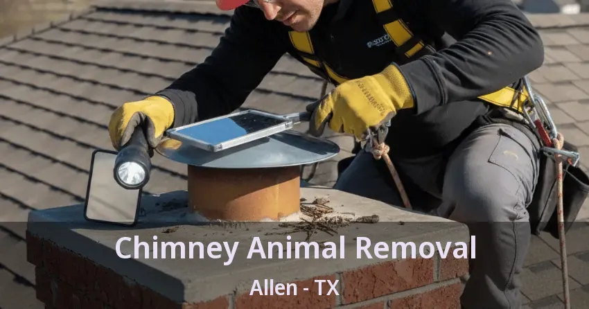 Chimney Animal Removal Allen - TX