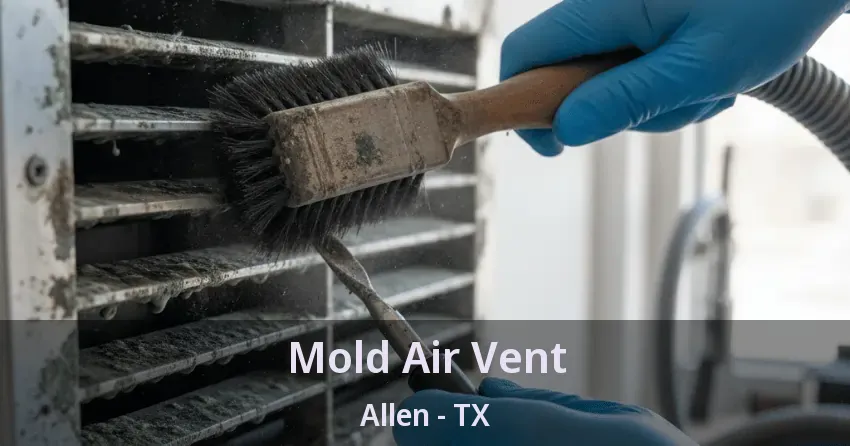 Mold Air Vent Allen - TX