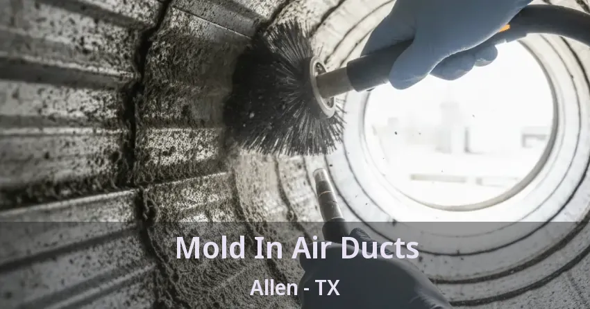 Mold In Air Ducts Allen - TX