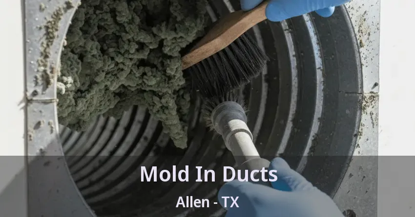Mold In Ducts Allen - TX