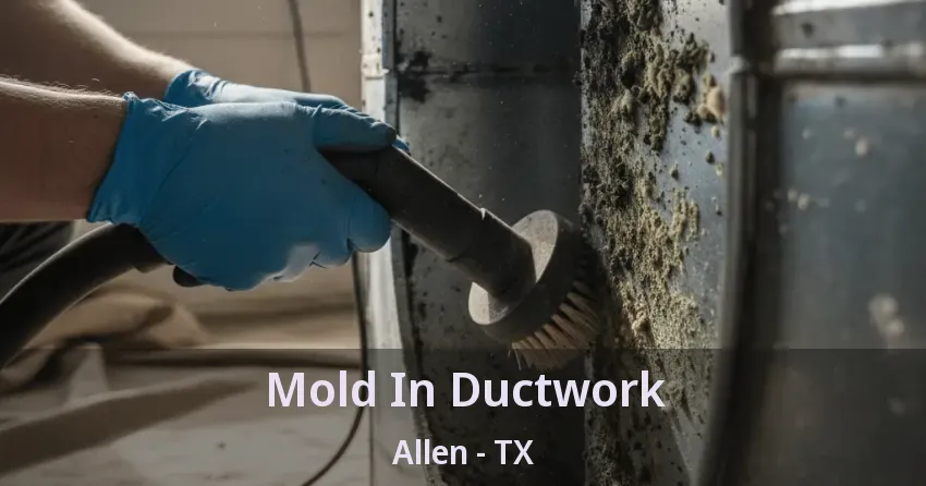 Mold In Ductwork Allen - TX