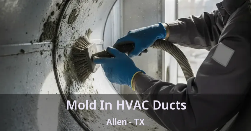 Mold In HVAC Ducts Allen - TX