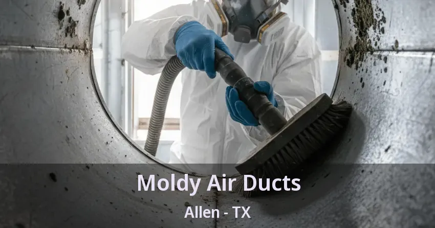 Moldy Air Ducts Allen - TX